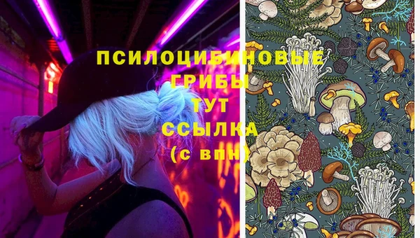 гашик Лабытнанги