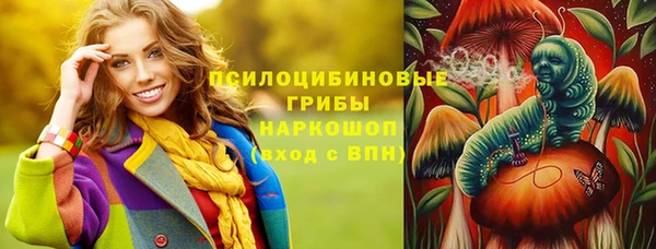 гашик Лабытнанги