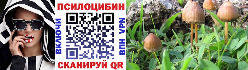 Галлюциногенные грибы прущие грибы  kraken как зайти  сайты даркнета как зайти  Евпатория 